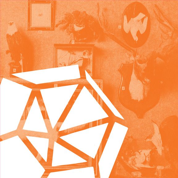 segni all tiny creatures  