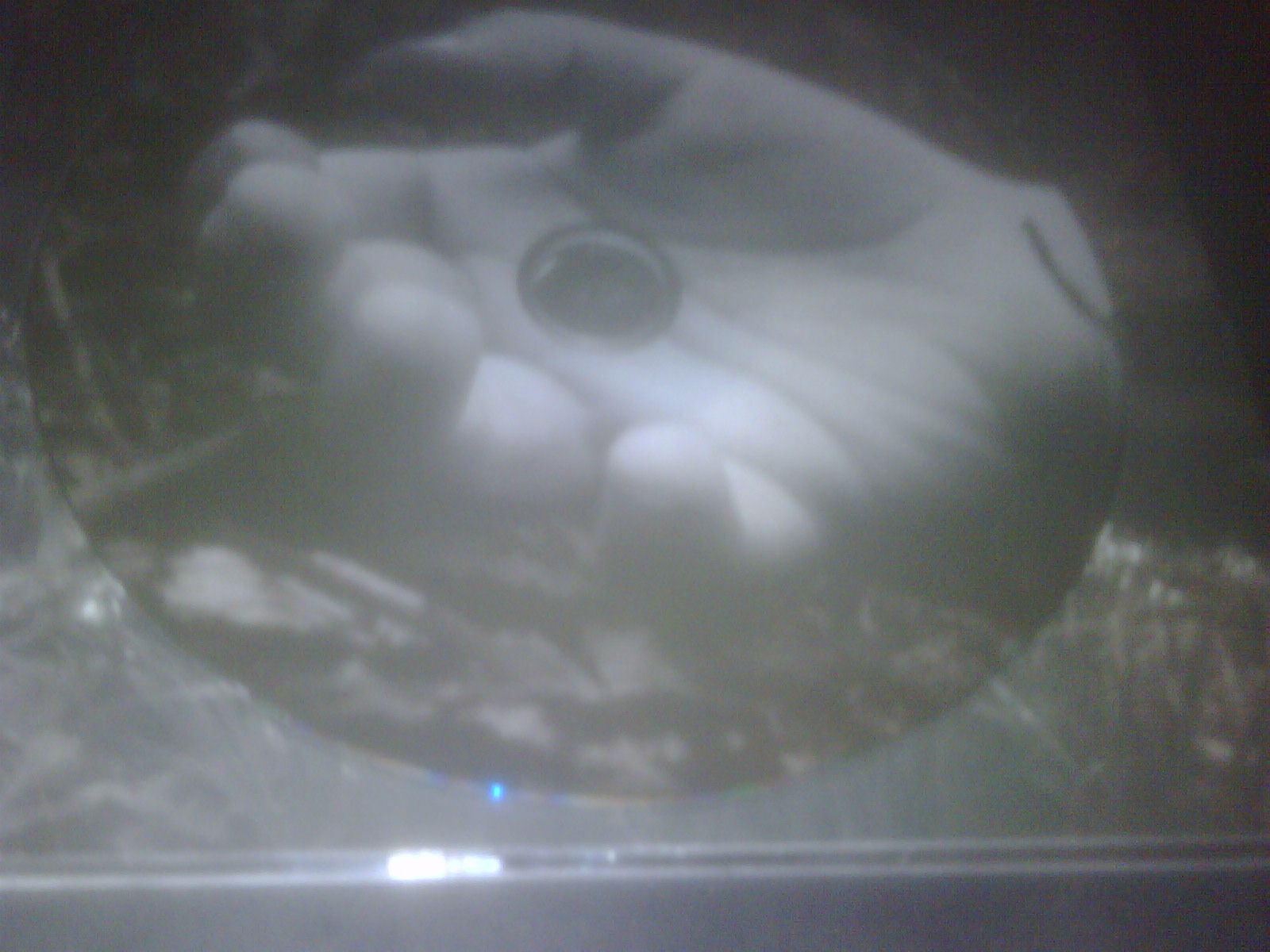 self titled useless children  