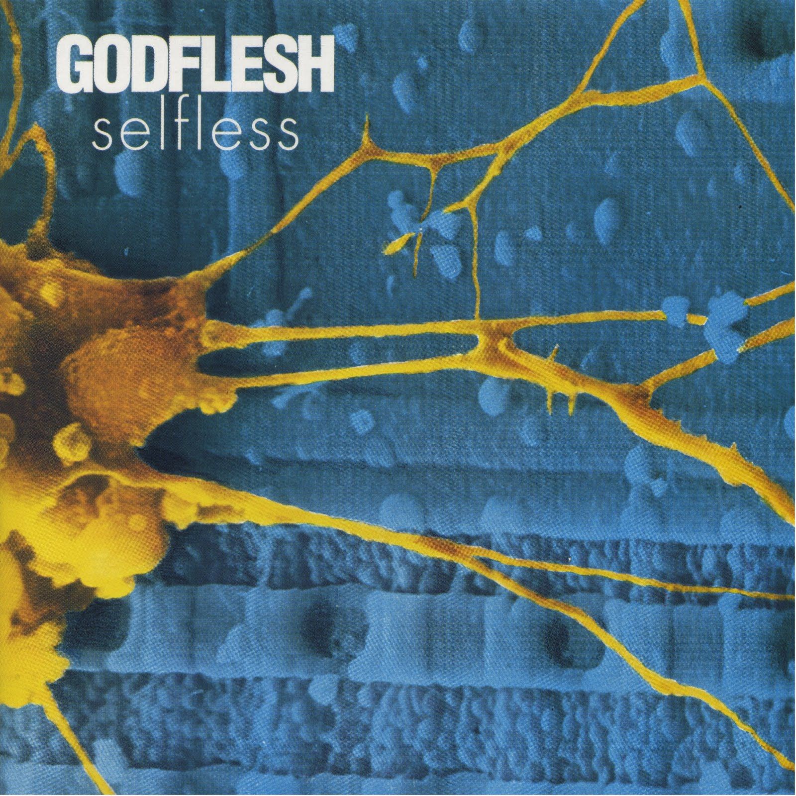 selfless godflesh 