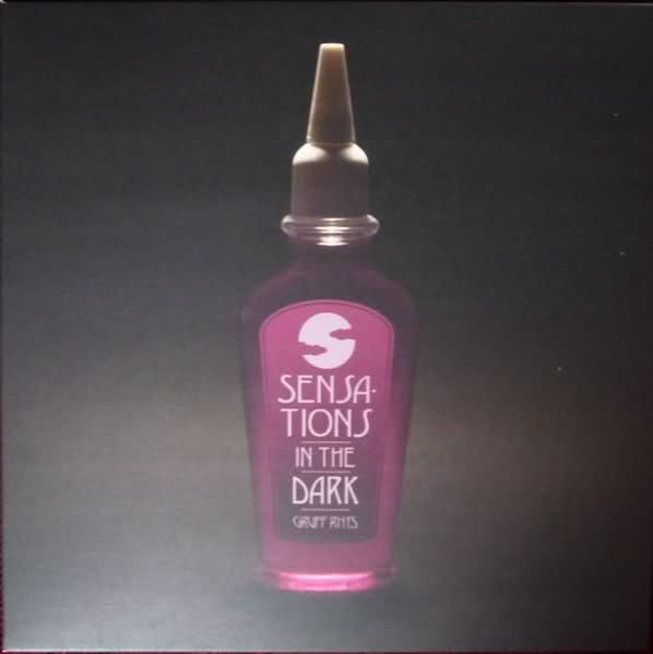 sensations in the dark gruff rhys 