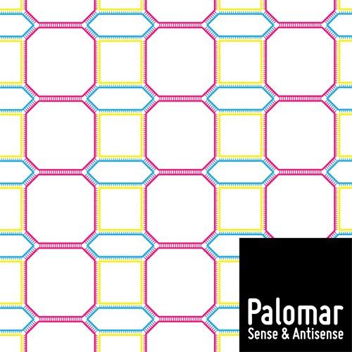 sense antisense palomar v2 