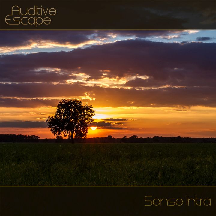 sense intra auditive escape 