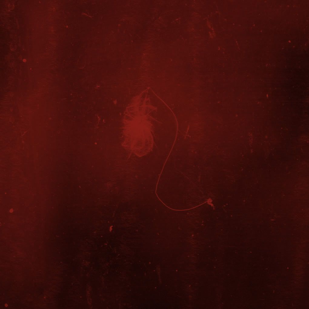 september 6th unknown clothing 