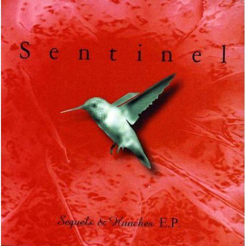 sequels hunche sentinel 