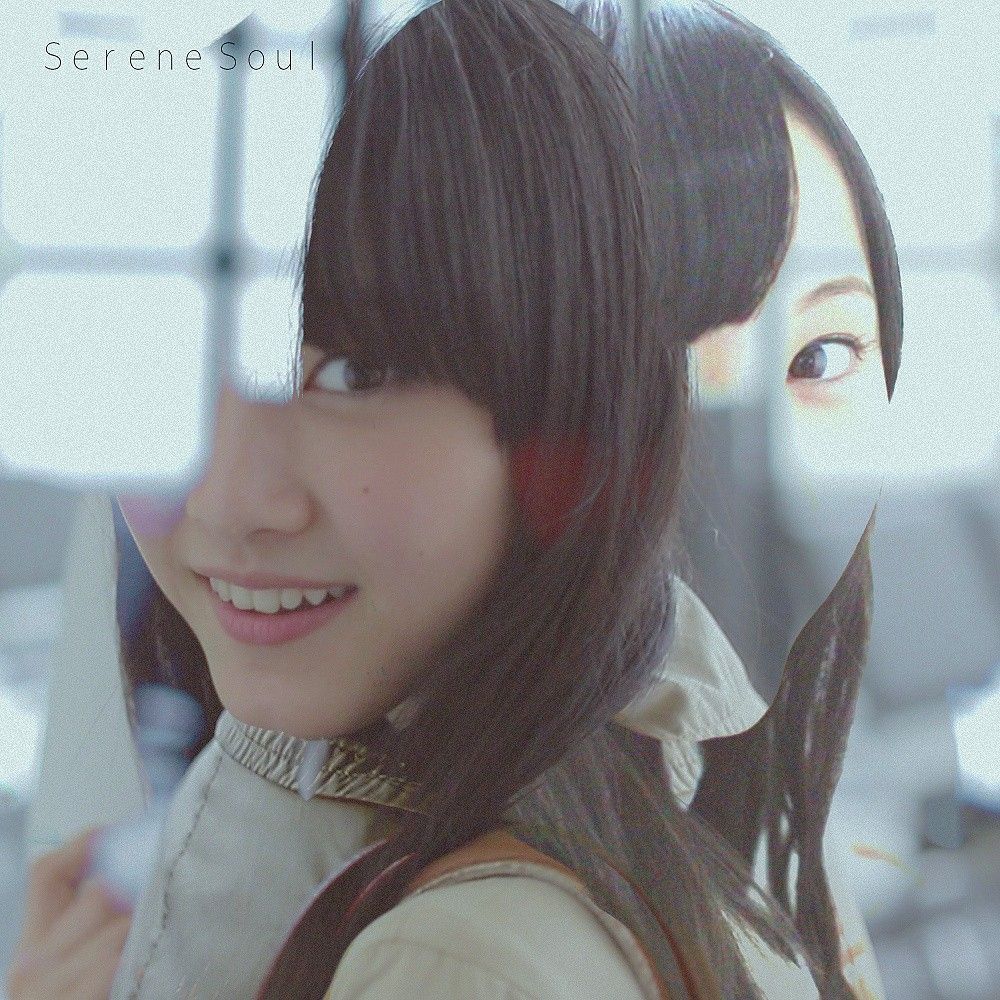 serene soul snow fox apprentice 