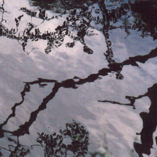 seven seven machine translations 