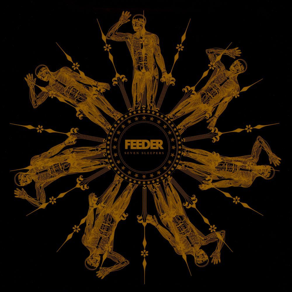 seven sleepers feeder 