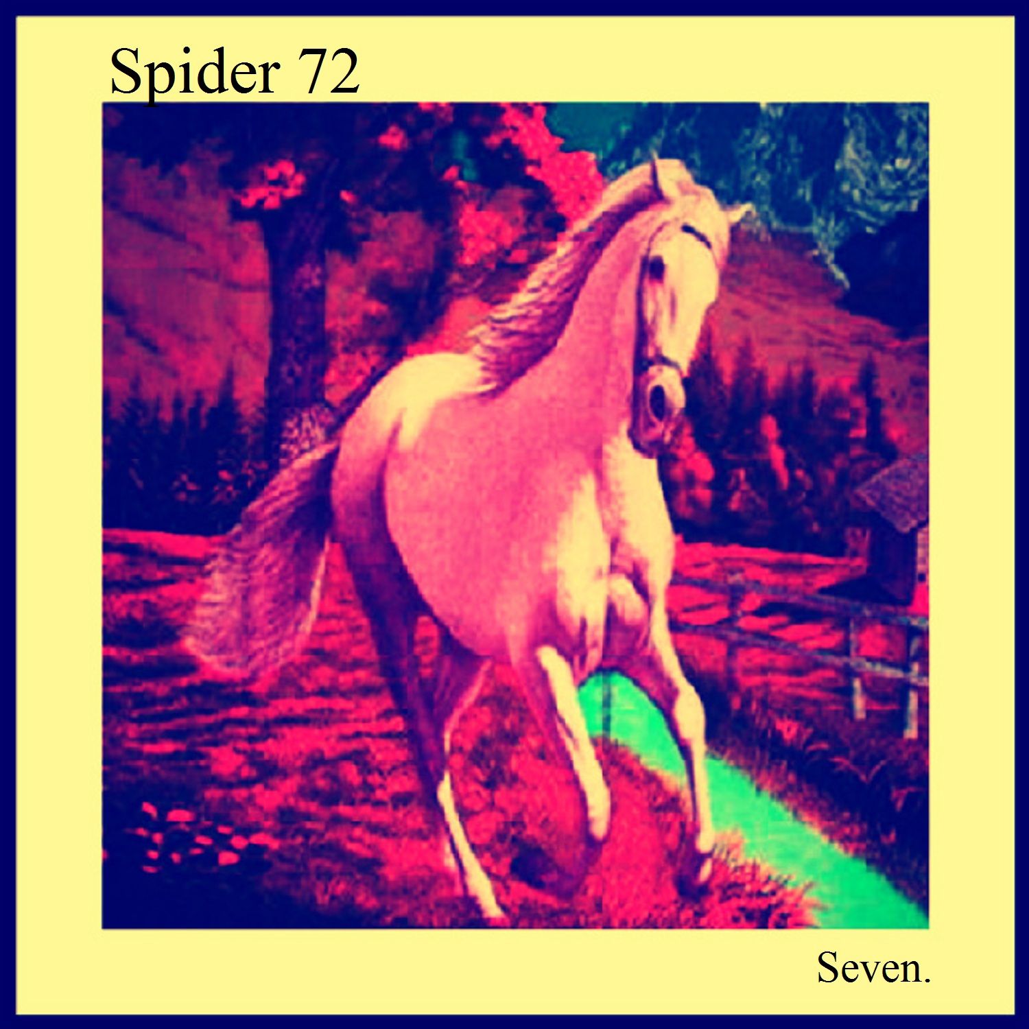 seven spider 72 