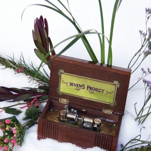 sevens project sevens project  