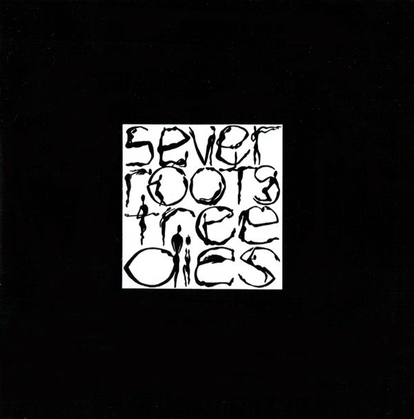 sever root tree die cheer accident 