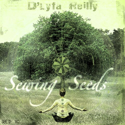 sewing seeds dlyfa reilly 