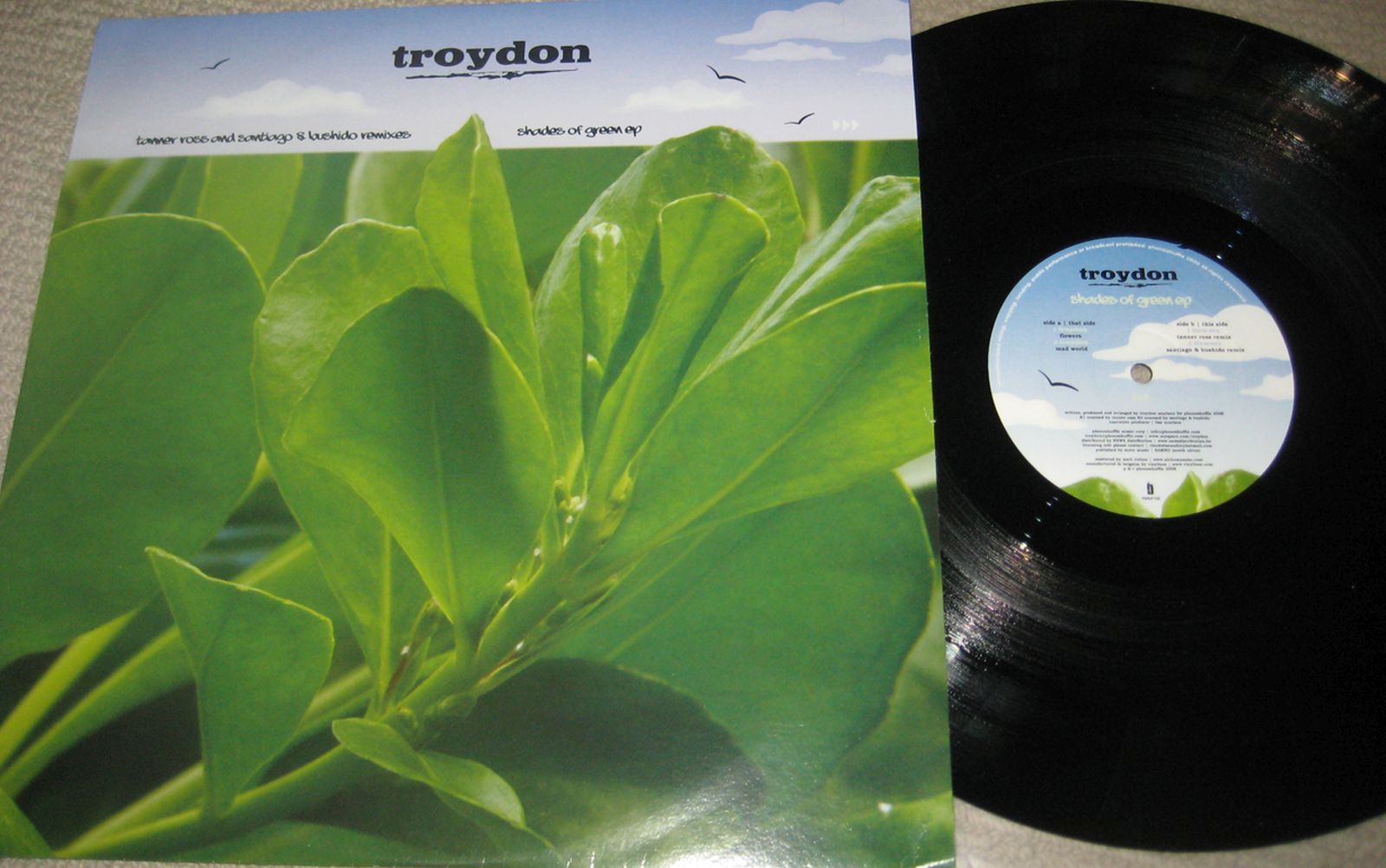 shades of green troydon  