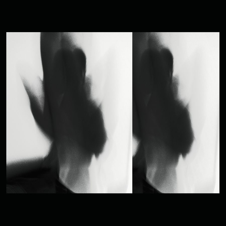 shadow over self timothy alexander 