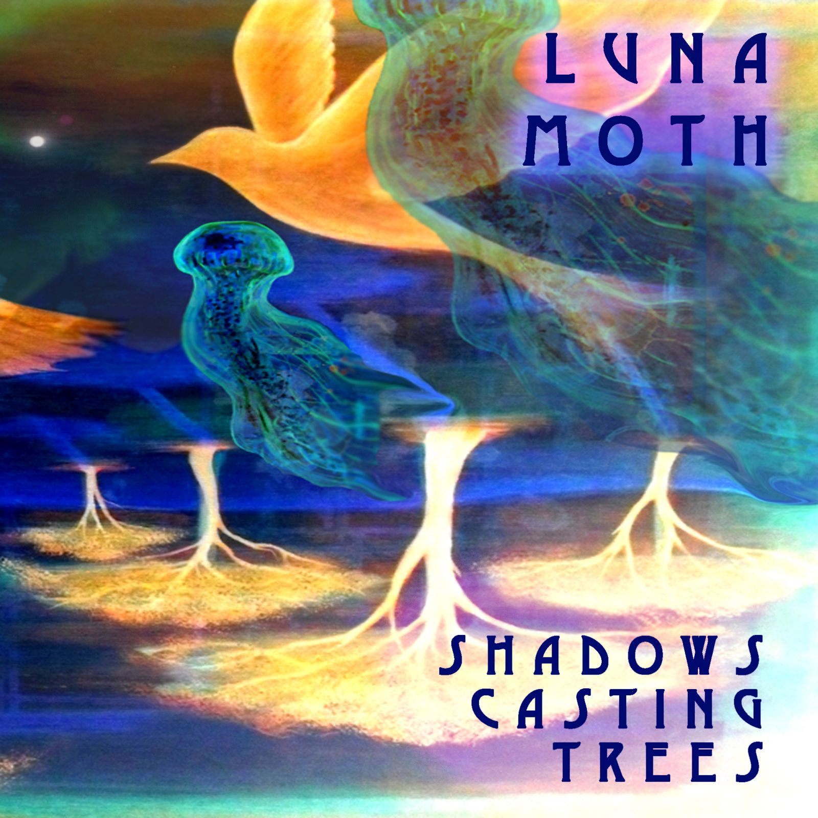 shadows casting tree luna moth 