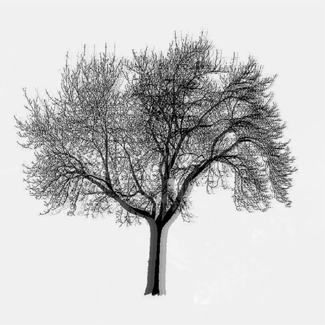 someone like you flying batteries 