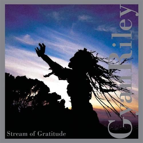 stream of gratitude gyan riley 