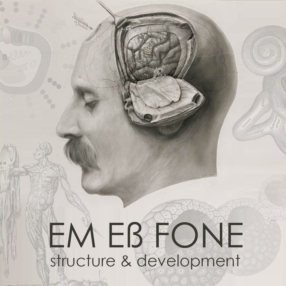 structure deve em ess fone  