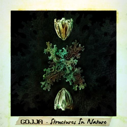 structures in nature gojja 