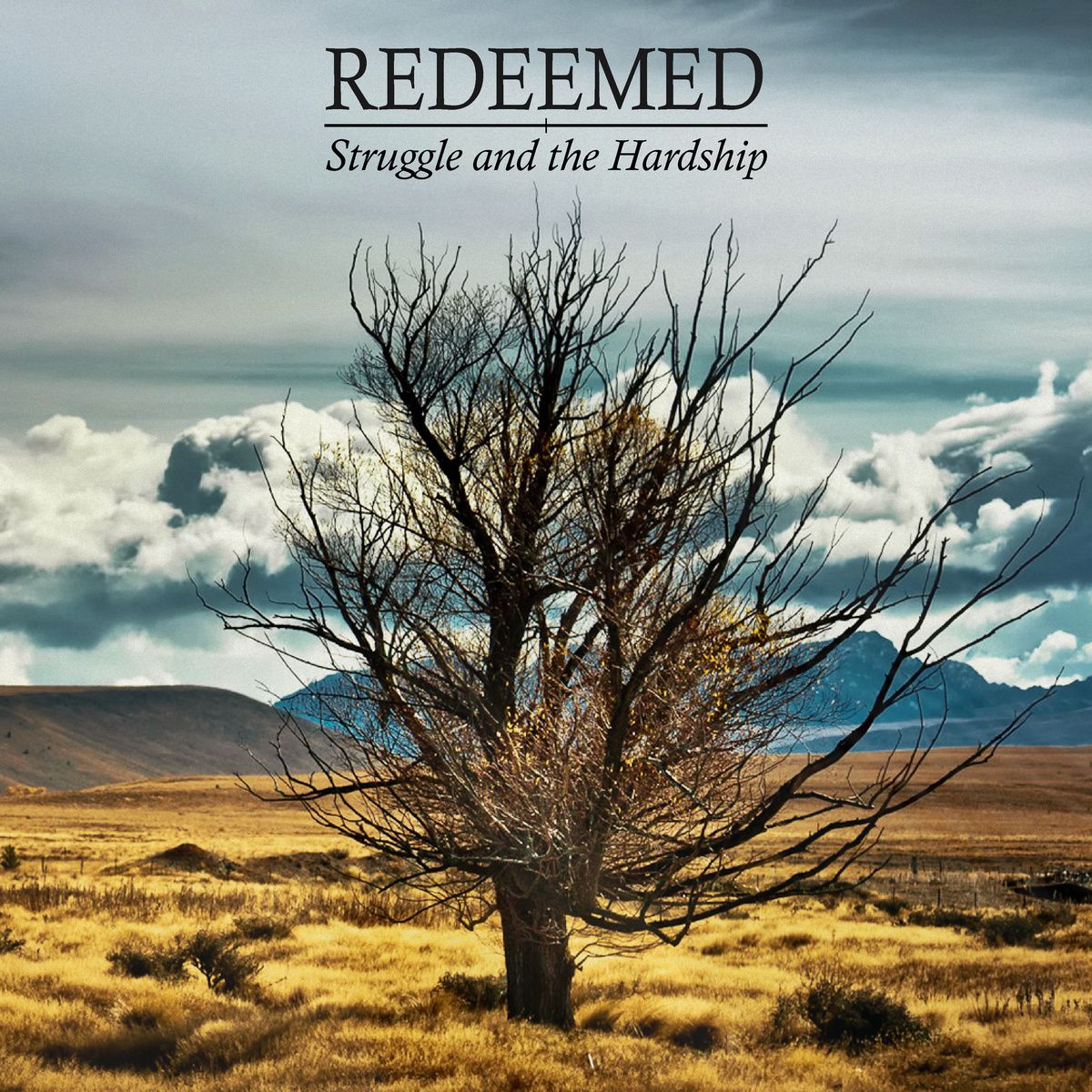 struggle and the har redeemed 