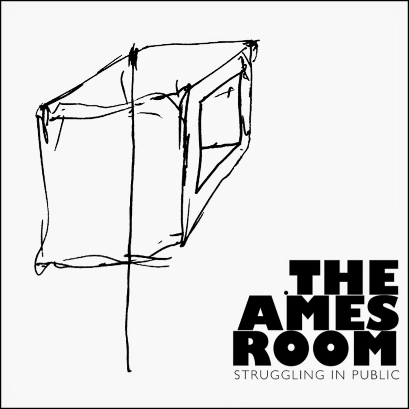 struggling in public the ames room 