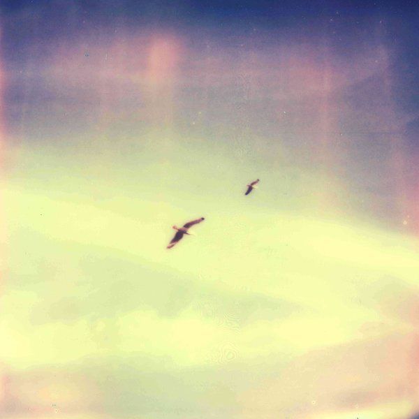 studies for hymnal benoit pioulard 