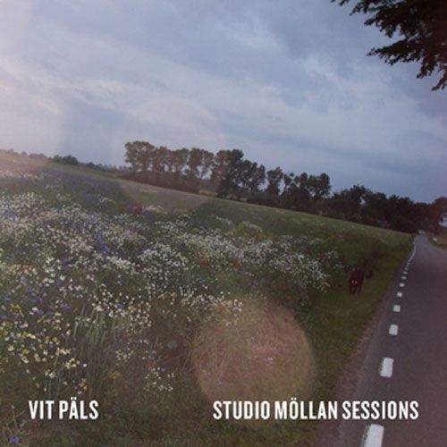 studio mollan s vit pals 