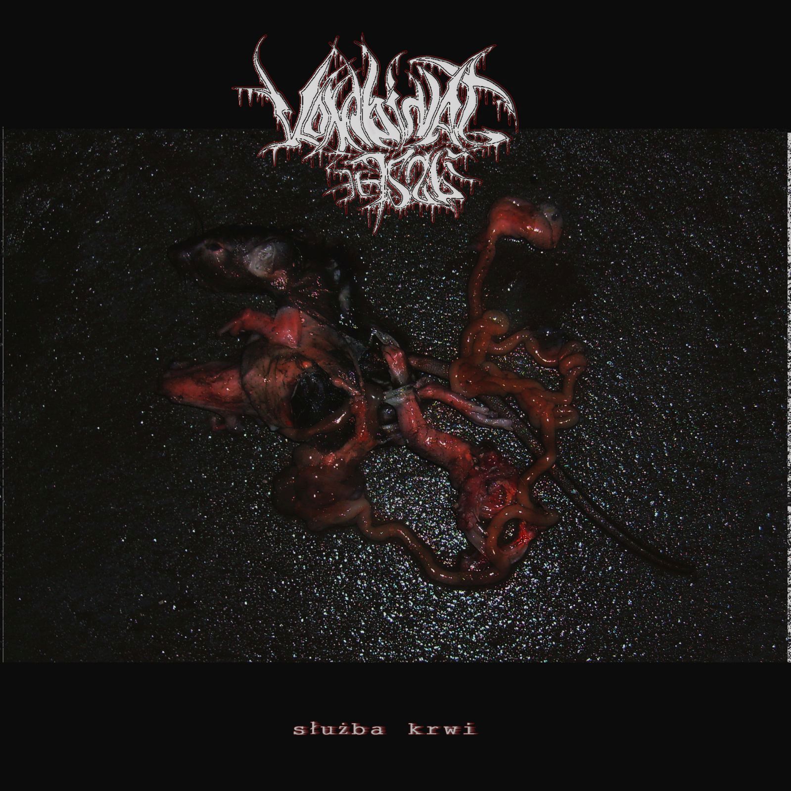 suba krw kombinat7526  