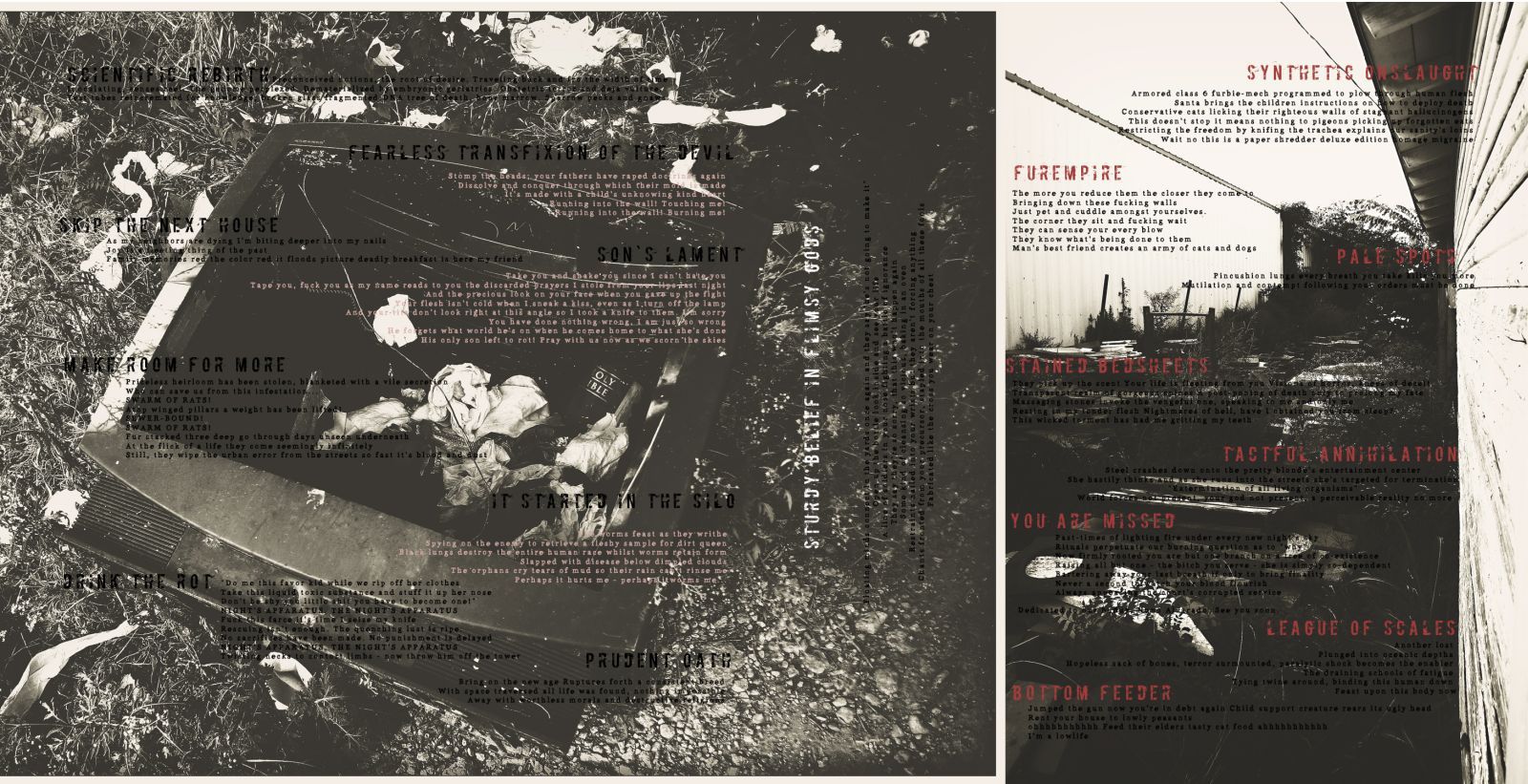 sublimation therapy cara neir 