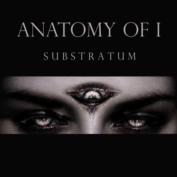 substratum anatomy of i  