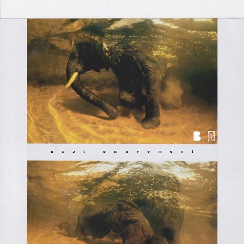 subtle movement mndsgn  