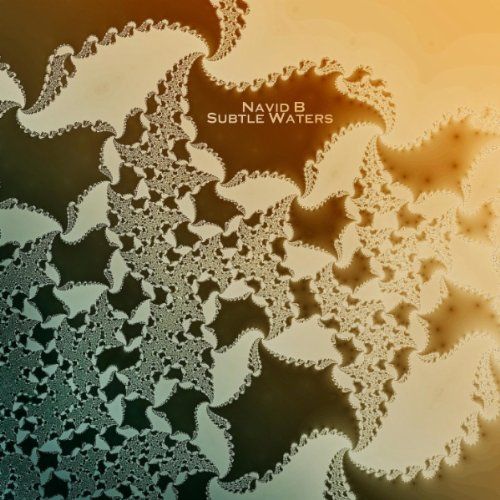 subtle waters navid b aac  