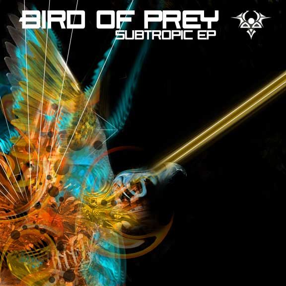 subtropic bird of prey 