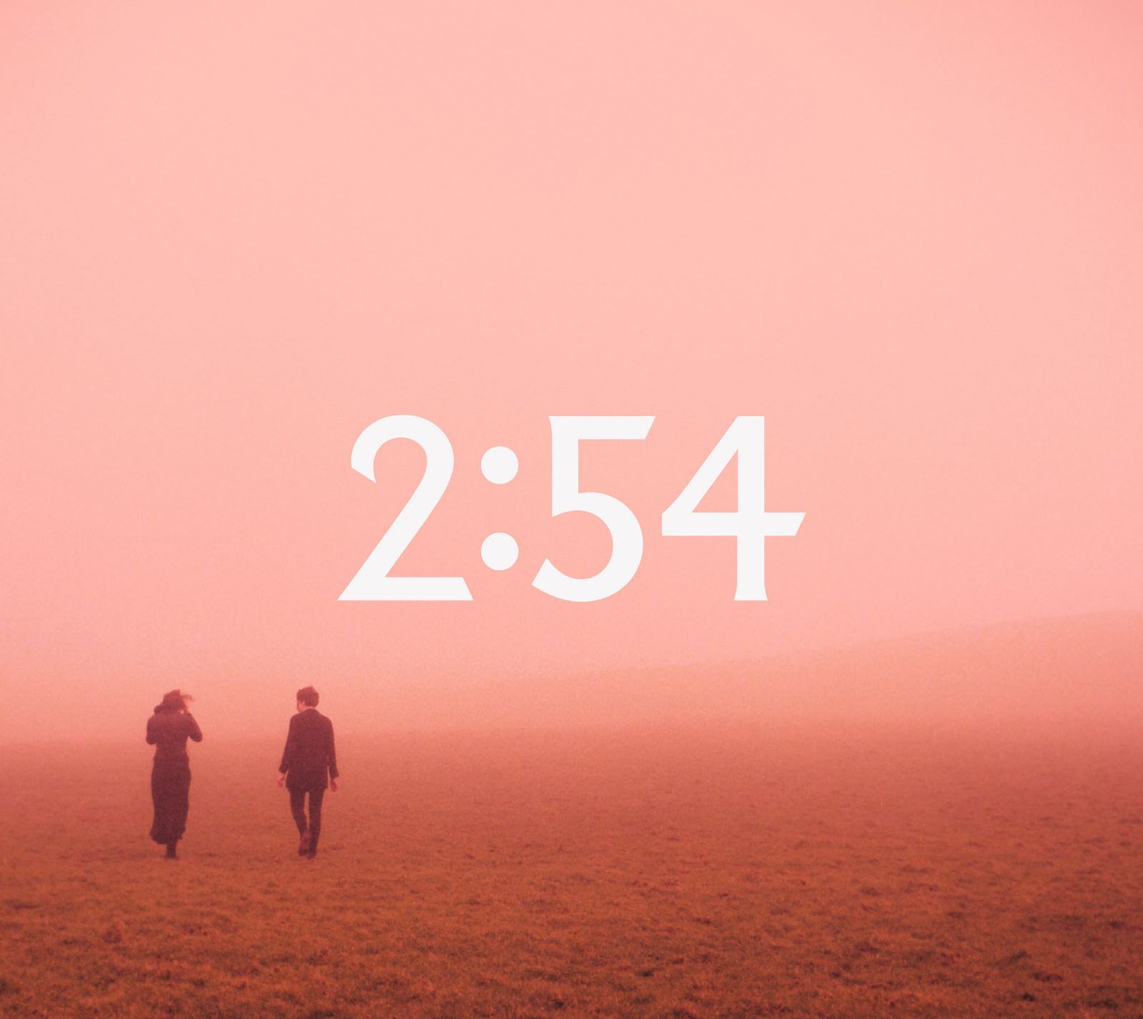 sugar 254 
