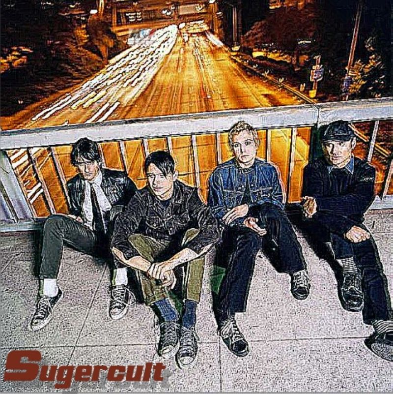 sugercult  palm trees a