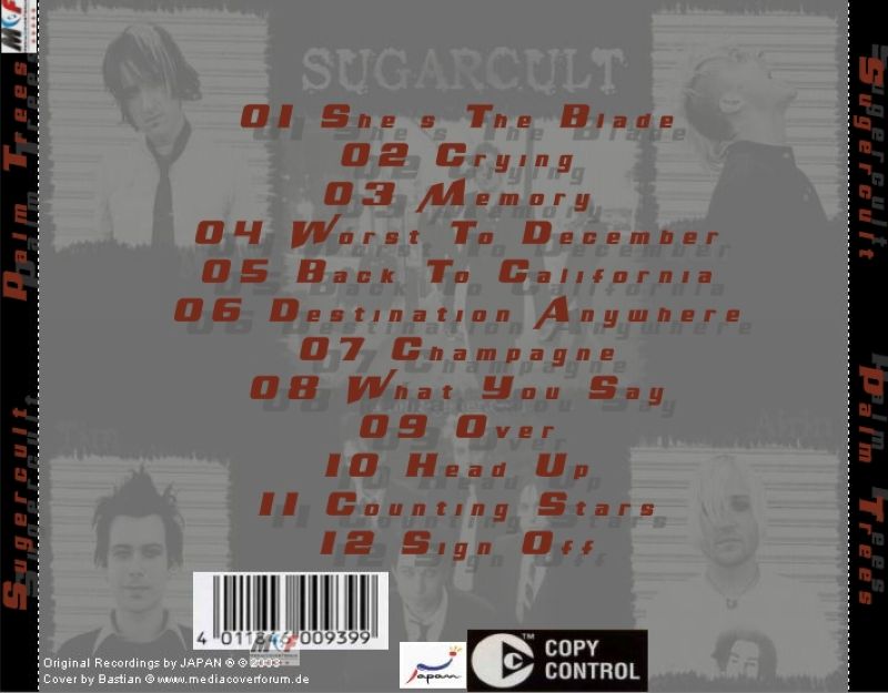 sugercult  palm trees b