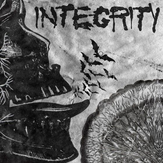 suicide black snake integrity 