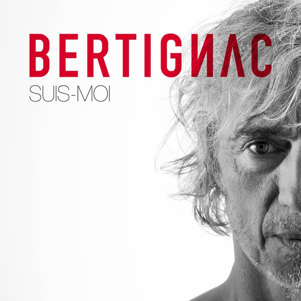 suis moi louis bertignac 