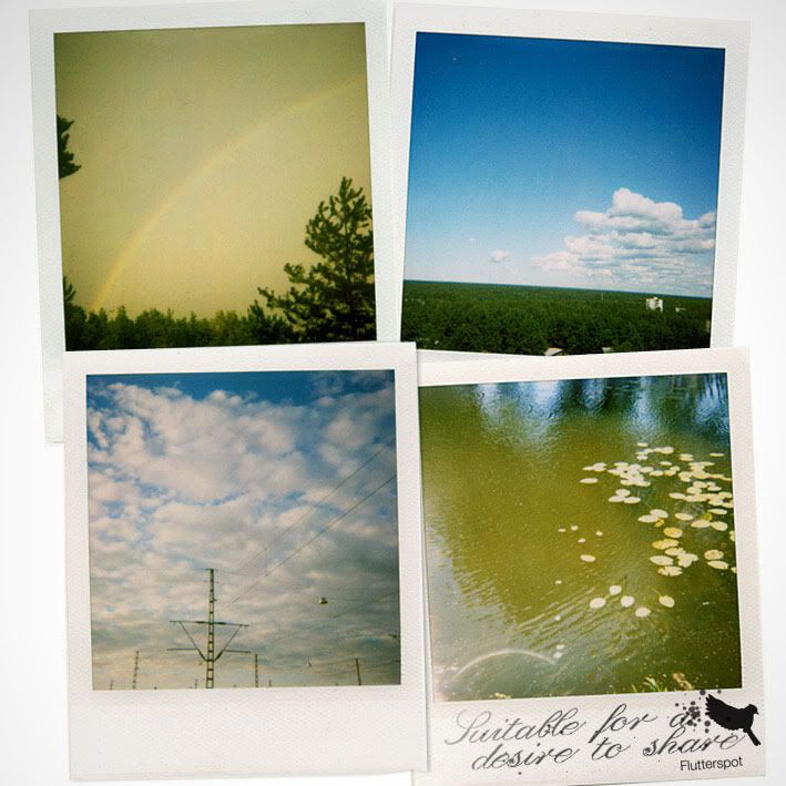 suitable for a desir flutterspot 