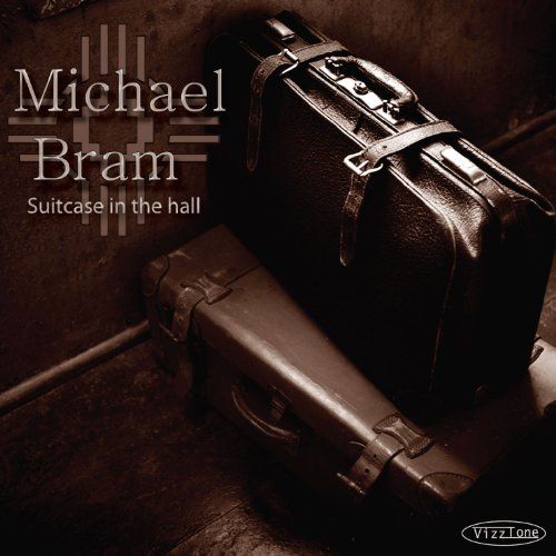 suitcase in the hall michael bram  