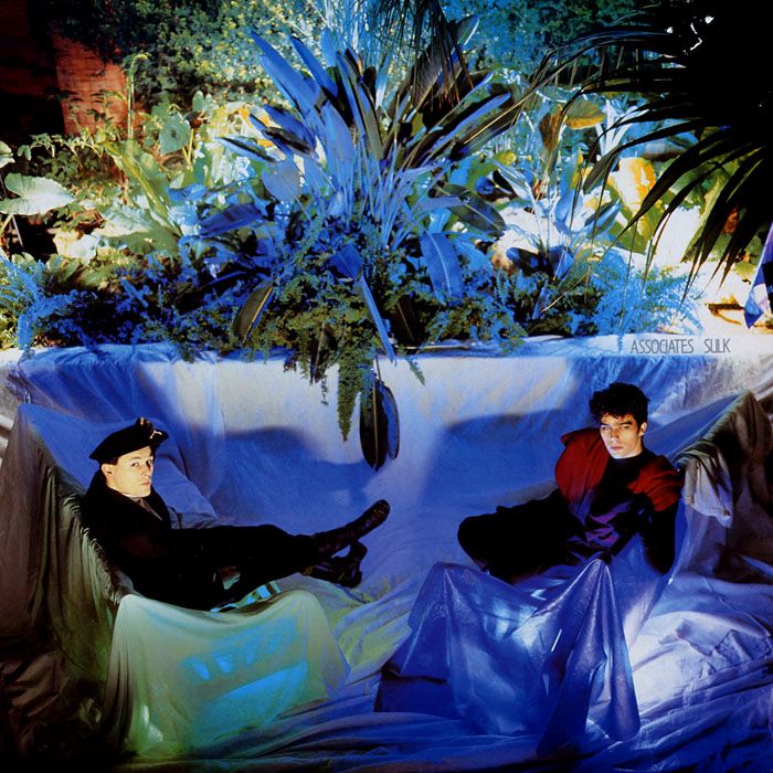 sulk the associates 