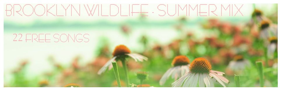 summer mix brooklyn wildlife 