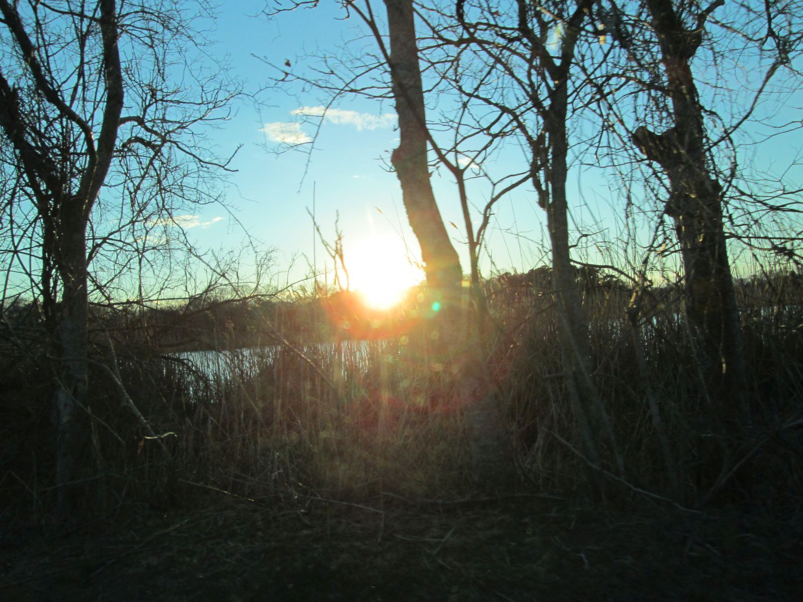 summer pop ep thomas hobson 