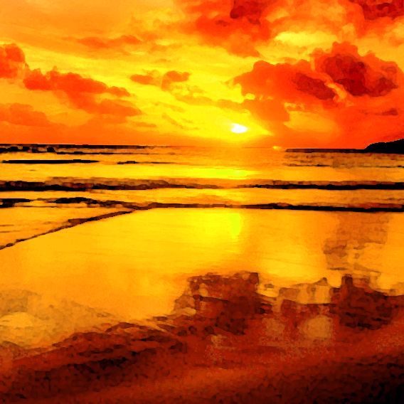 summer salad seedmole  