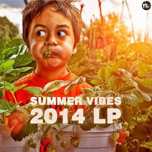summer vibes 2014 lp blitzbeat  