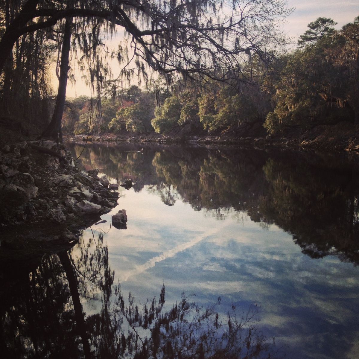 summer houses and homes 