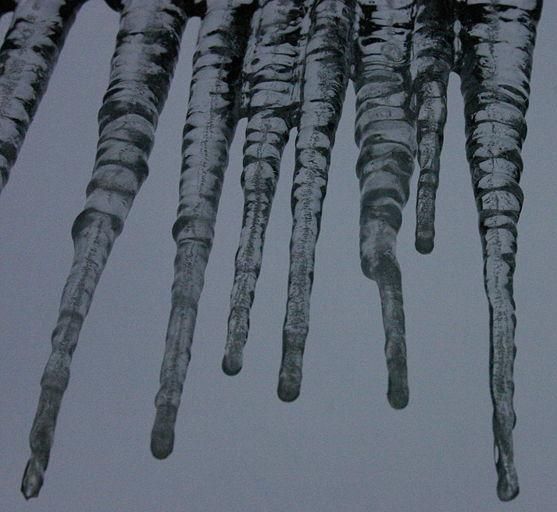 summer julian pearce 