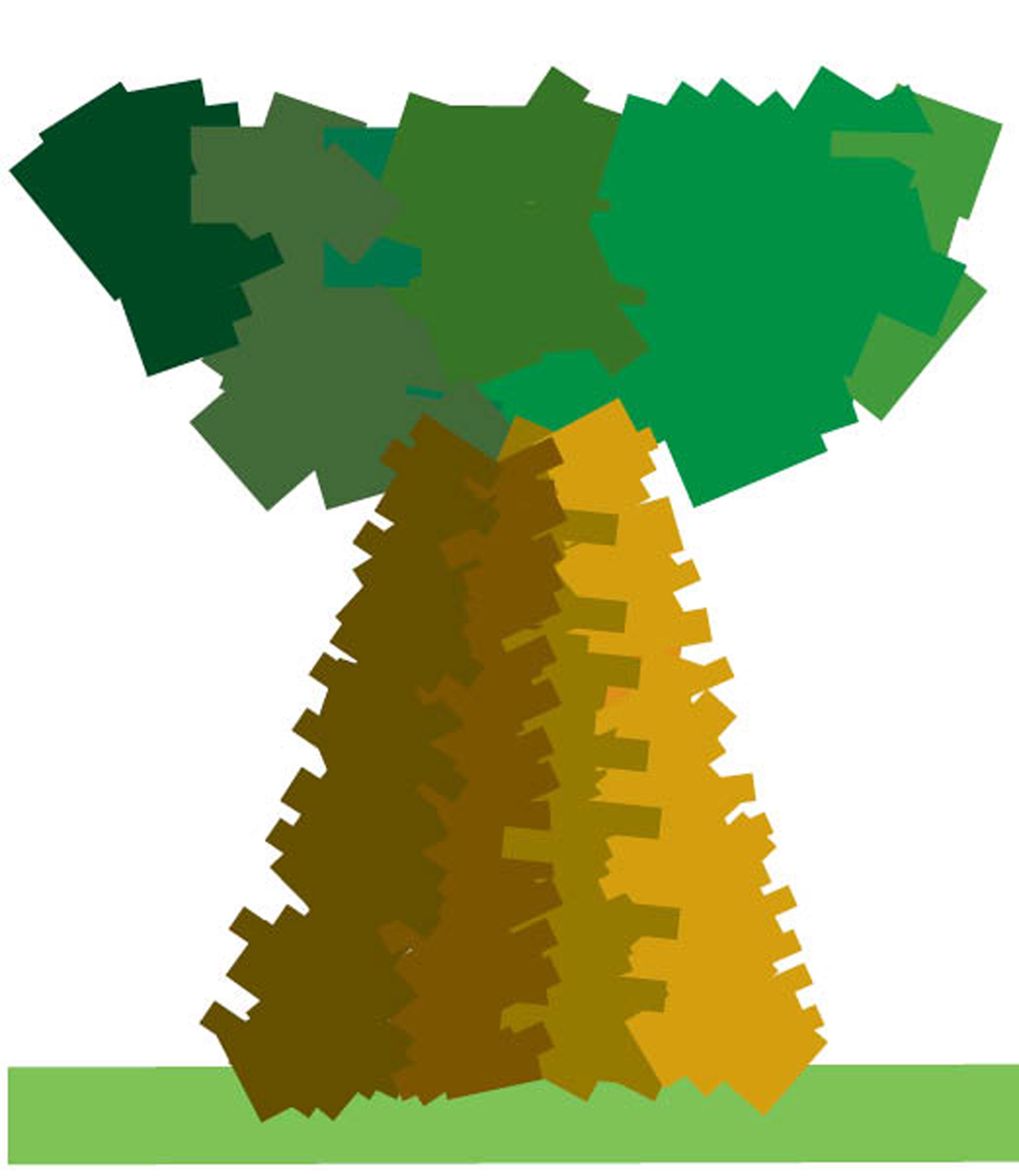 summer this giant tree 