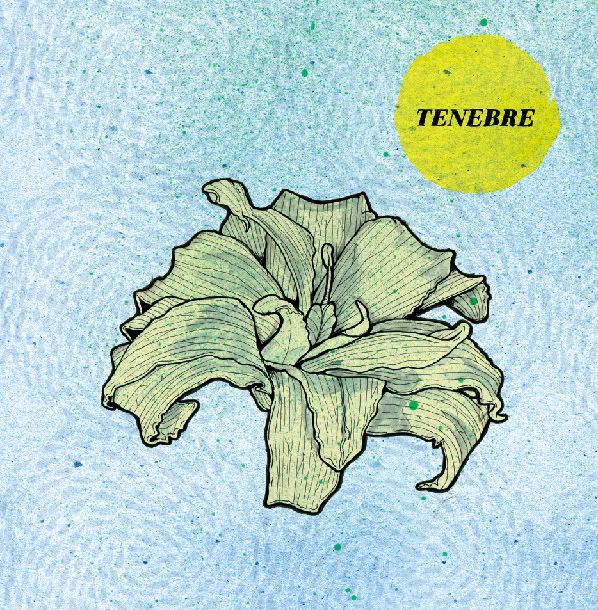 sun song tenebre  