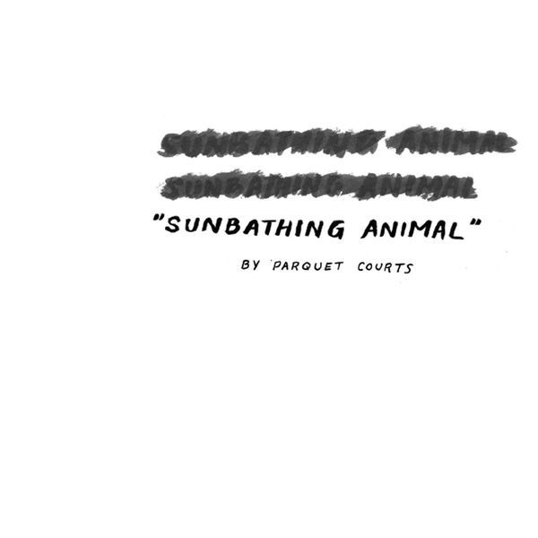 sunbathing animal parquet courts 