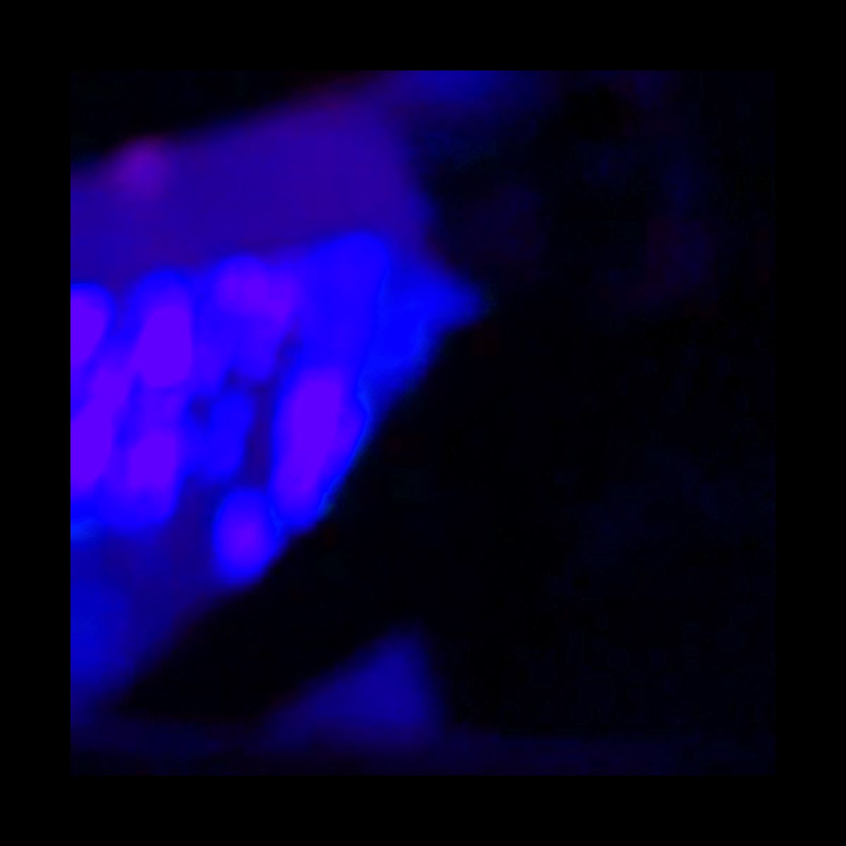 sunday dub live in blamstrain 